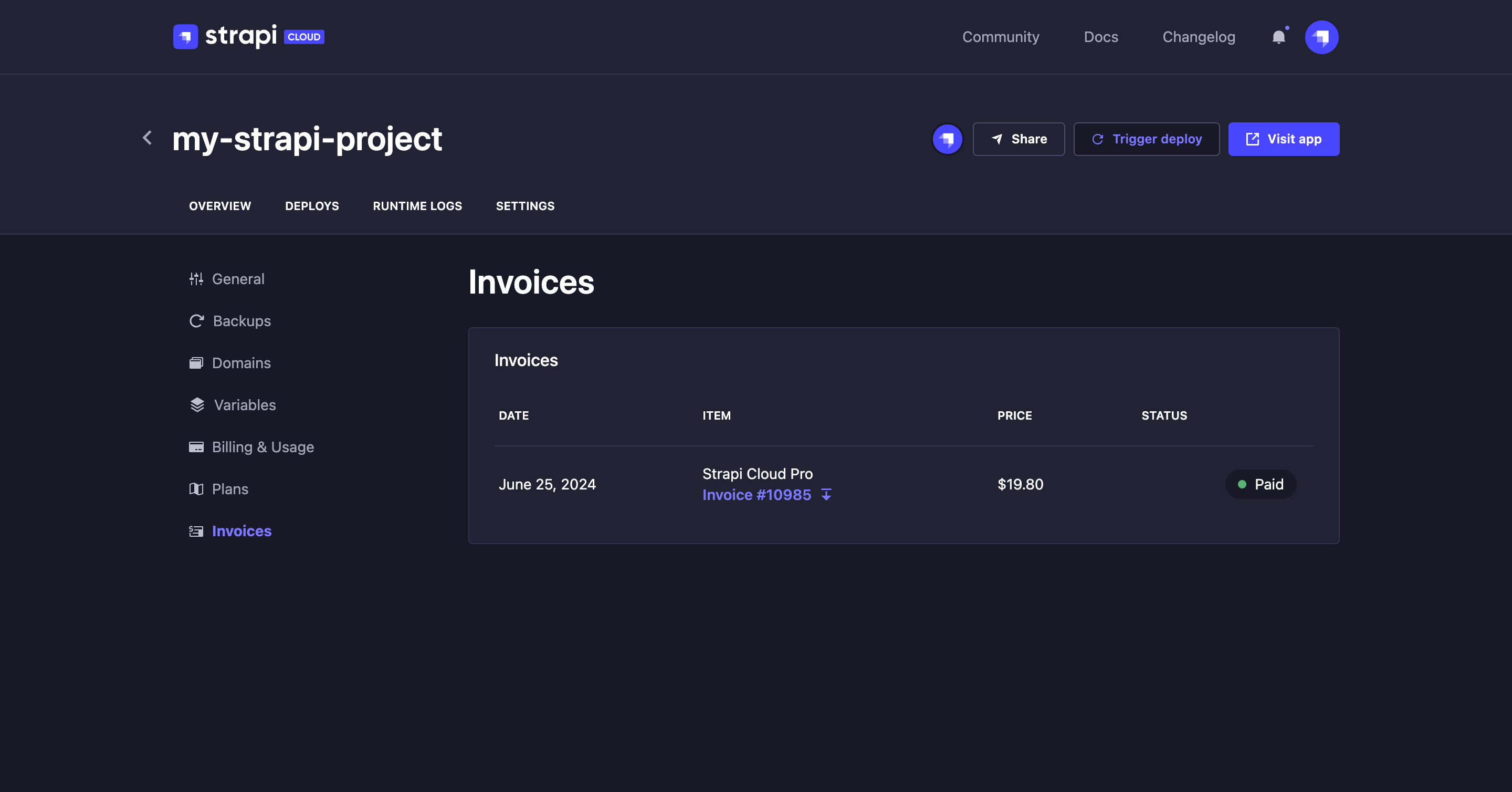 Project invoices